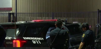 Texas Man Outsmarts Teens, 12-14, in Failed Armed Robbery Attempt Teens attempted robbery in Texas news