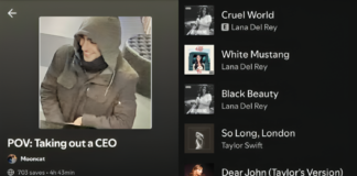 Did You Know Luigi Mangione’s Spotify Playlists Feature Taylor Swift and More? luigi mangione spotify playlist