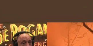 California Fires Were Accurately Predicted by a Firefighter on Joe Rogan firefighter predicts california fires joe rogan