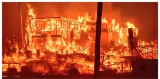 Democrats’ Fire Mitigation Failures Exposed as Arsonists Ignite LA Inferno Democrats block fire mitigation efforts in California