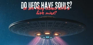 Are UFOs a Hivemind? Exploring the Soul-Less Clone Phenomenon Do UFOs have souls or are they clones