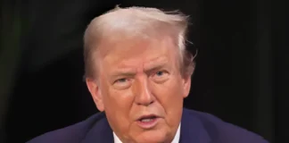 Donald Trump Names Mel Gibson, Sylvester Stallone, and Jon Voight as Special Hollywood Representatives Donald Trump announces Hollywood ambassador