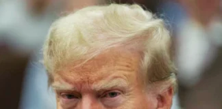 Donald Trump to Sign Executive Order to End Birthright Citizenship for Children of Undocumented Immigrants Donald Trump to end birthright citizenship