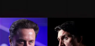 Elon Musk Claps Back at Trudeau’s Claim Canada Won’t Join the U.S. elon musk responds to Trudeau canada usa
