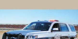 Florida Police Officer Distracted by Porn Hits Car Waiting for School Bus florida police officer watching porn rear ends car