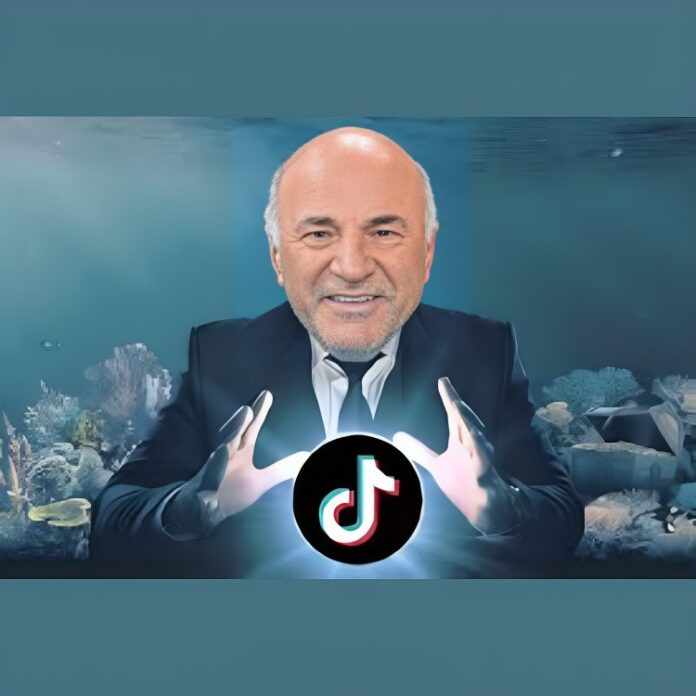 Kevin OLeary TikTok US operations offer
