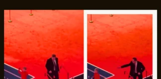 Did Elon Musk Really Abandon His Son? The Media’s Story vs Reality Did Elon Musk Really Abandon His Son?