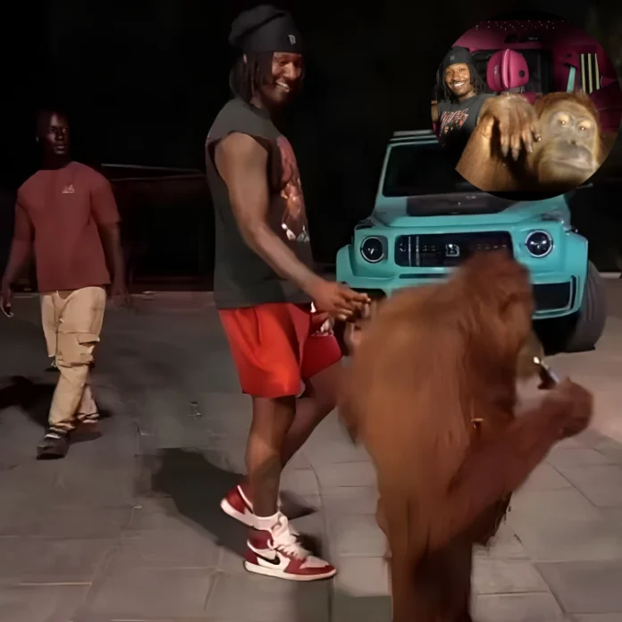 Duke Dennis shocked by orangutan behavior