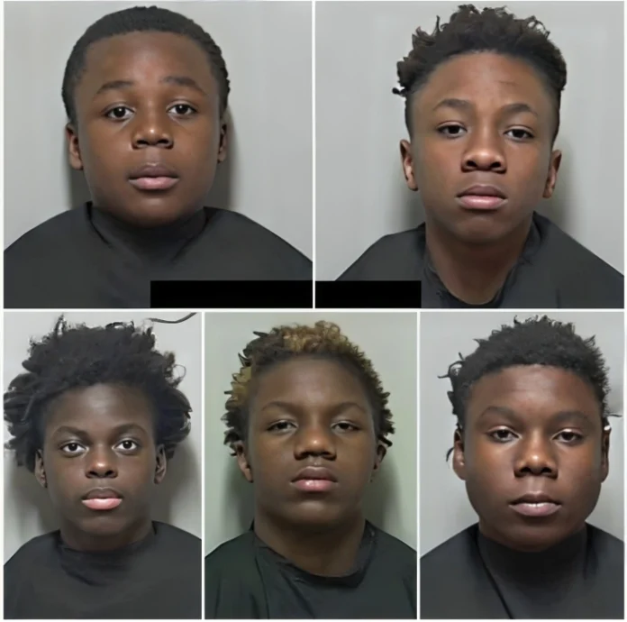 florida juveniles arrested with stolen cars