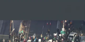 Los Angeles Anti-ICE Protest Turns Violent as One Person Stabbed los angeles anti ICE protest stabbing