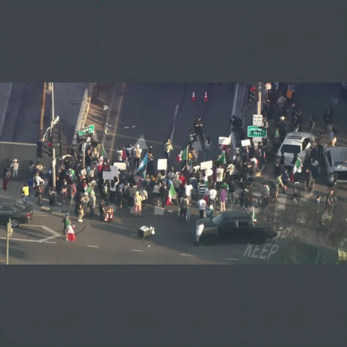los angeles anti ICE protest stabbing