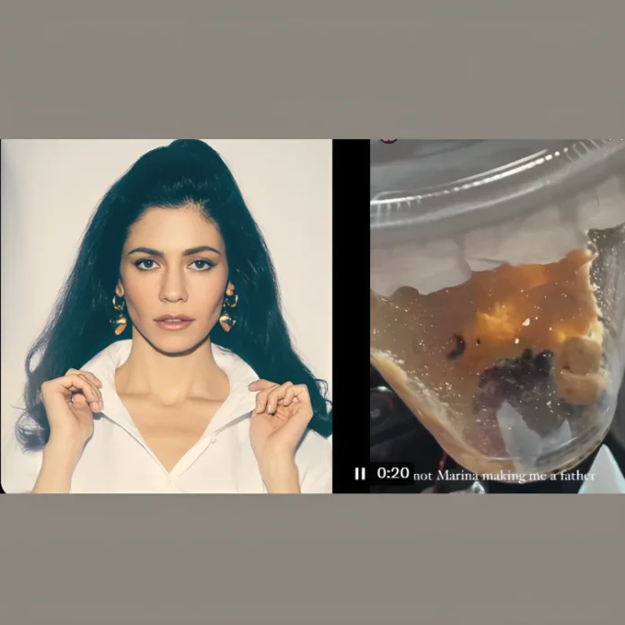 MARINA new music era caterpillar project