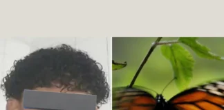 Teen Loses Life After Injecting Butterfly for Online Challenge Teen dies after injecting butterfly trend
