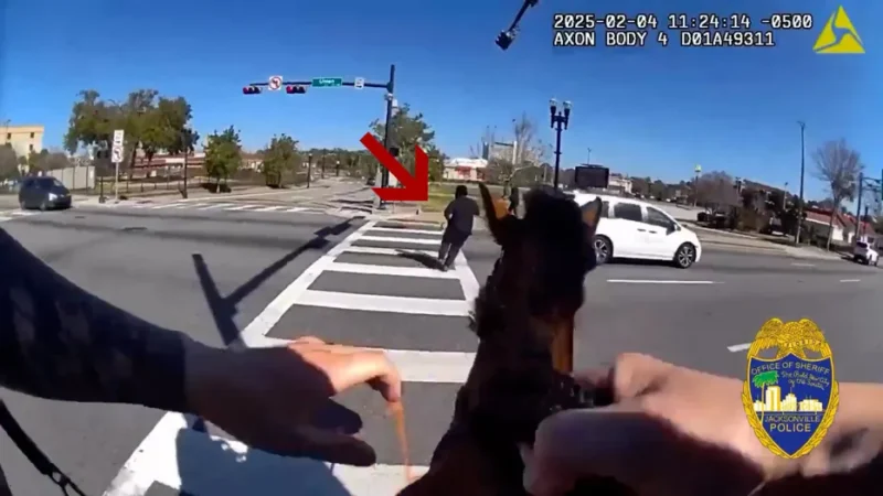 Florida man chased by horse cops