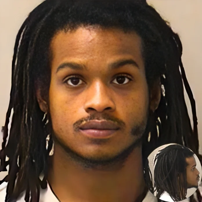 Illinois caretaker assault case