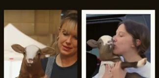 Meet Lamby! Millie Bobby Brown’s Unusual Pet That Fans Love Millie Bobby Brown pet lamb name