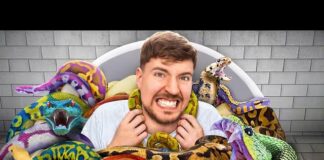 MrBeast Takes on ‘Snake Island’ – The Most Dangerous Place on Earth MrBeast visits Snake Island deadly location