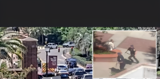 Confirmed: Active Shooter at FSU Leaves Multiple People Wounded Florida State University active shooter incident