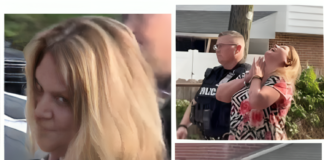 Philadelphia Woman Arrested After Wild Road Rage Poop Incident philadelphia woman road rage poop incident