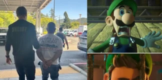Man Arrested for Stealing $10,000 Worth of Nintendo Switch Games From Local Libraries man arrested for stealing Switch games
