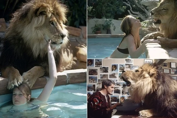 most dangerous movie ever made roar