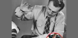Florida Parents Can Consent to School Spanking new Florida law passed