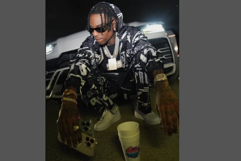 did soulja boy have a gun during traffic stop