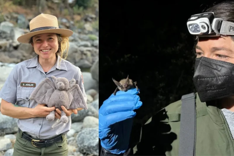 nonbinary scientist fired pride flag yosemite