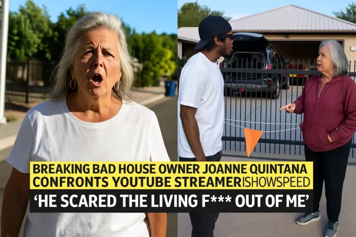Breaking Bad house owner sues streamers