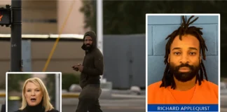 Burglar Walks Past Live News Cameras, Arrested in Idaho Springs burglary suspect was quickly apprehended by police after he walked right past media crews