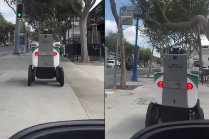 Robotic food delivery services are under fire after this woman with cerebral palsy was brutally harassed