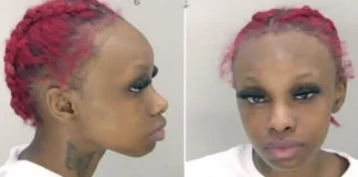 17-Year-Old Bri’ Tavia Miller Arrested After Throwing Brick at Student Who Bullied Her Bri’ Tavia Miller Was Arrested After She Brought Bricks To School In Her Backpack