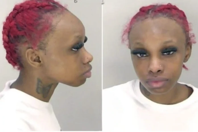 Bri’ Tavia Miller Was Arrested After She Brought Bricks To School In Her Backpack