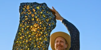 Fukang Meteorite: A 4.5 Billion Year Old Cosmic Treasure Fukang meteorite that fell in the mountains near Fukang, China