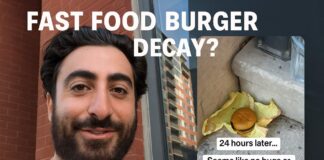 TikToker Leaves McDonald’s Cheeseburger Out: What Happened? American bought a McDonald’s cheeseburger to test a theory