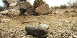 Over 100 Human Ash Piles Discovered in Nevada Desert cremated remains found in las vegas desert