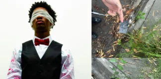 Redditor Discovers Hidden Tesla Key in Gutters Outside D4vd’s House Tesla key found near D4vd’s house