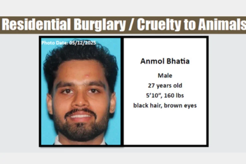 burglary suspect arrested