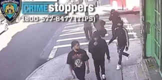 15-Year-Old in Queens Hospitalized After Group Robs His Sneaker and Stabs Him teen sneaker robbery Queens