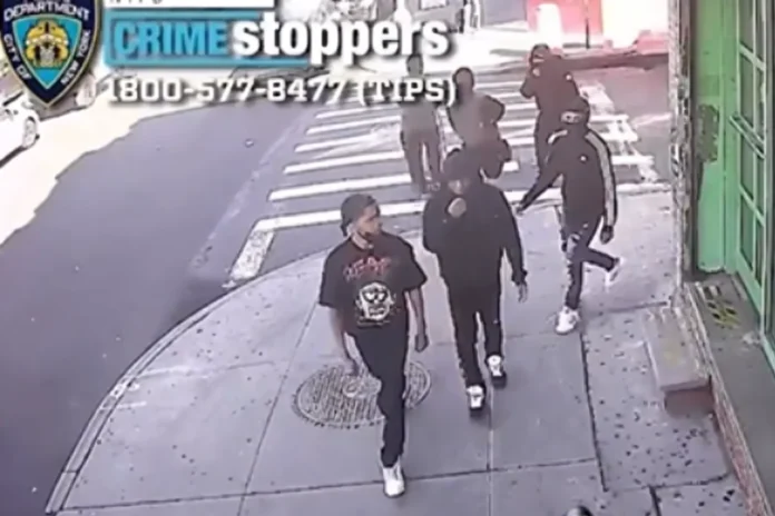teen sneaker robbery Queens