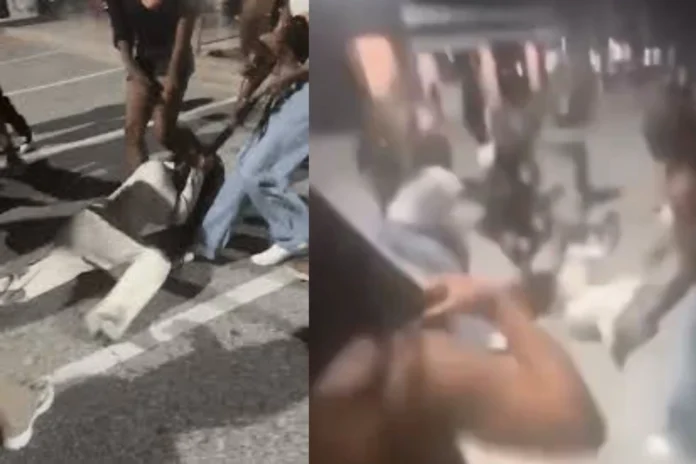 Maryland fair assault