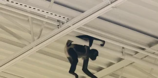 Monkey Wearing a Diaper Spotted Swinging Through Spirit Halloween Store in Plano pet monkey Spirit Halloween