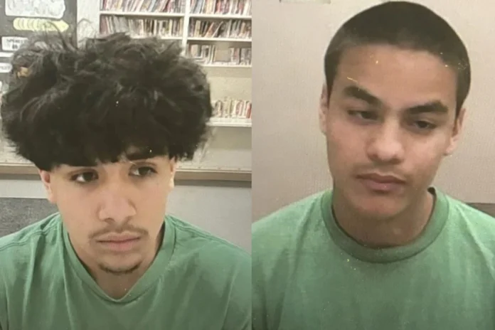teen crime spree