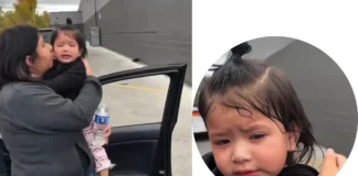 Chicago Suburb Incident: 1-Year-Old Allegedly Pepper-Sprayed During Federal Immigration Operation pepper-sprayed 1-year-old Chicago suburb