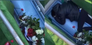 Burial Disruption: Why Family Dragged Woman from Grave Woman dragged from grave explanation