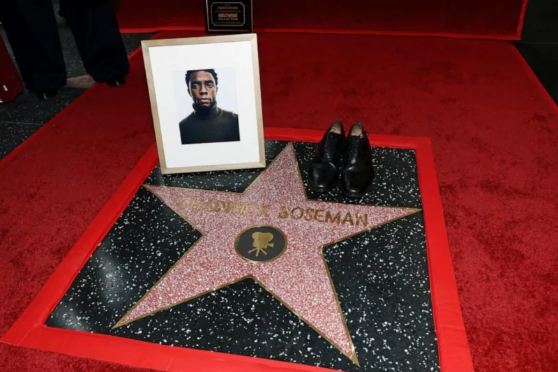  Hollywood tribute