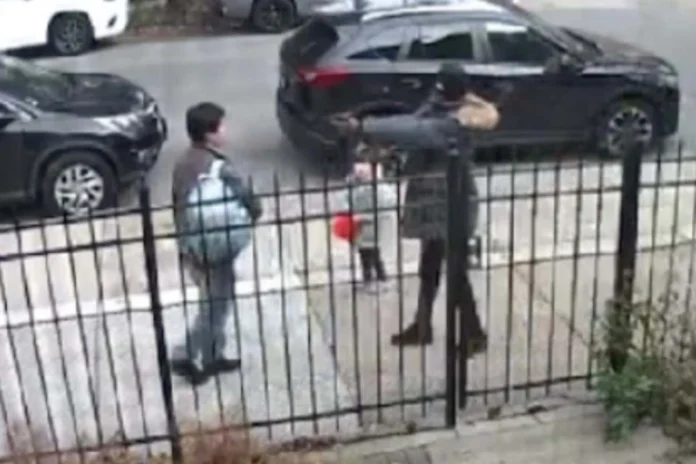 Chicago Halloween carjacking