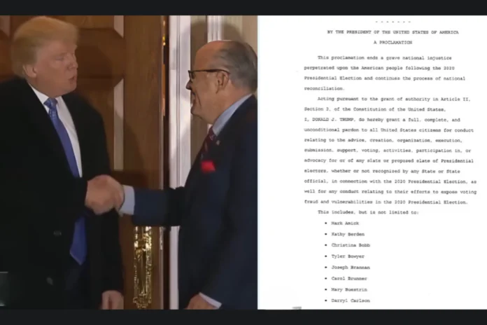 Trump pardons fake electors