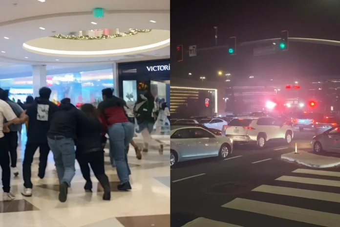 Westfield Valley Fair shooting