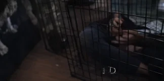 Father Who Caged Children Claims Prison Sentence Is Excessive in Court Appeal Child abuse sentencing appeal